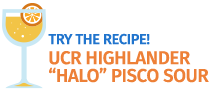 Try the Recipe: UCR Highlander "Halo" Pisco Sour