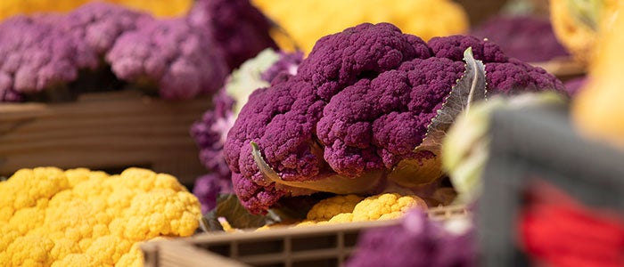 Crates filled with vibrant purple and yellow cauliflower are stacked in an outdoor market or pantry setting. The bright colors of the cauliflower contrast beautifully against the neutral tones of the wooden crates. The focus is on the rich textures and hues of the produce.