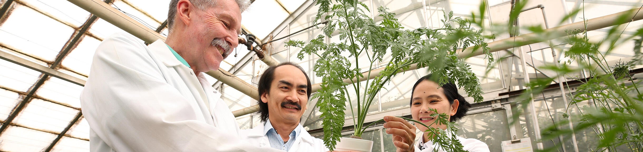 UCR professors in a greenhouse for the Nematology department